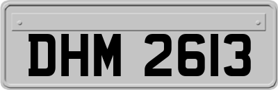 DHM2613