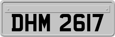 DHM2617