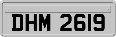 DHM2619