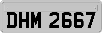 DHM2667