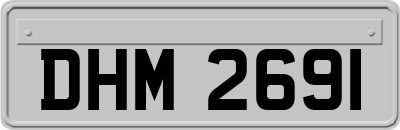 DHM2691