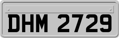 DHM2729