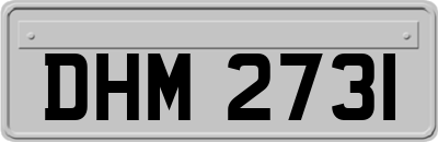DHM2731