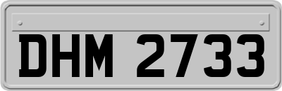 DHM2733