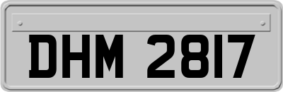 DHM2817
