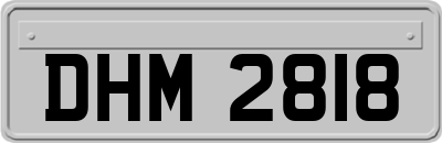 DHM2818