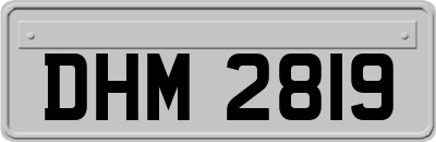 DHM2819
