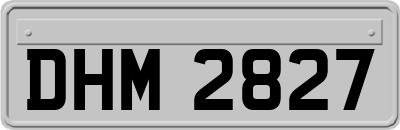 DHM2827