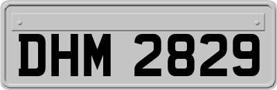 DHM2829