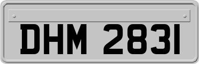DHM2831
