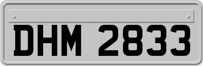 DHM2833