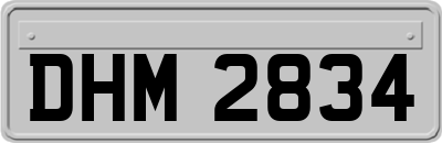 DHM2834