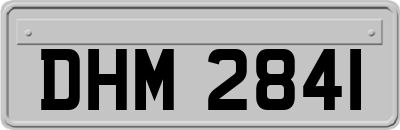 DHM2841