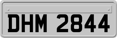 DHM2844
