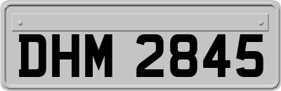 DHM2845