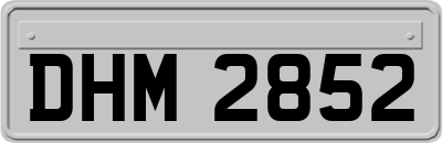 DHM2852