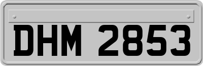 DHM2853