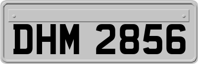 DHM2856