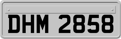 DHM2858