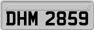 DHM2859