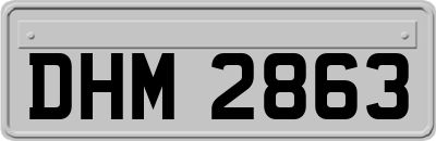 DHM2863