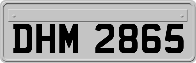 DHM2865