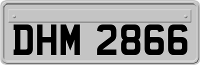 DHM2866