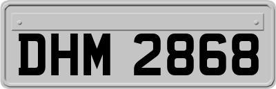 DHM2868