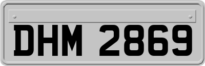 DHM2869