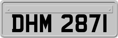 DHM2871