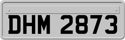 DHM2873