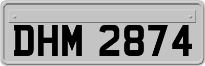 DHM2874
