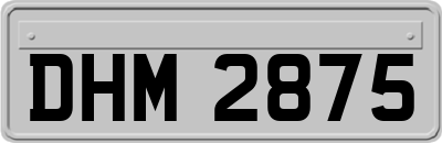DHM2875