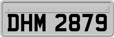 DHM2879