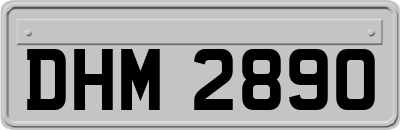 DHM2890