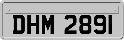 DHM2891