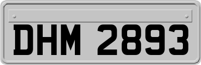 DHM2893