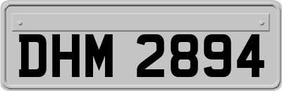 DHM2894