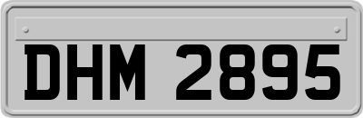 DHM2895