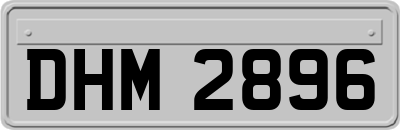 DHM2896