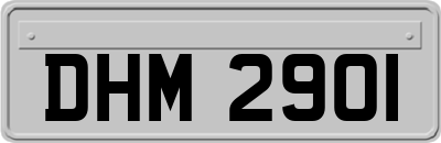 DHM2901