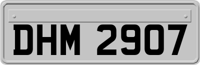 DHM2907