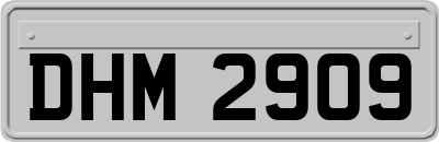 DHM2909