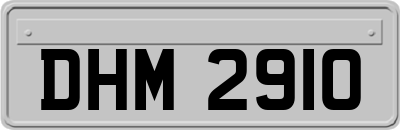 DHM2910