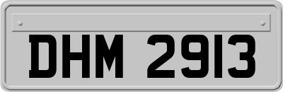 DHM2913