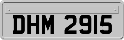 DHM2915