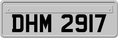 DHM2917