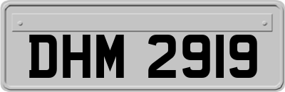 DHM2919