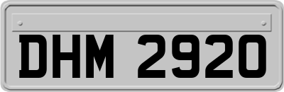 DHM2920
