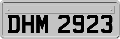DHM2923